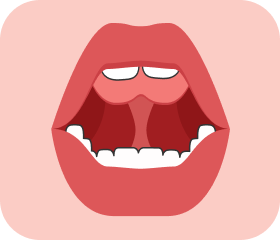 Oral muscle function